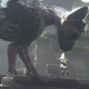Illustration for article titled Sony Corrects Themselves, Says emThe Last Guardian/em Is Not on Hiatus